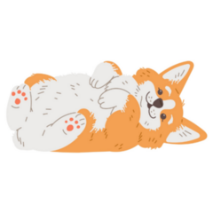 Corgi Dog Lies On His Back Sticker
