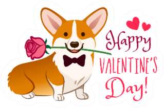 Corgi Dog With Rose In Mouth Valentines Day Card Sticker