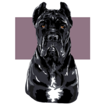 Corso Abstract Purple Sticker