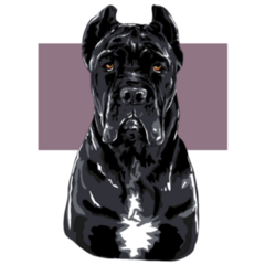 Corso Abstract Purple Sticker