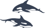 Couple of Whales