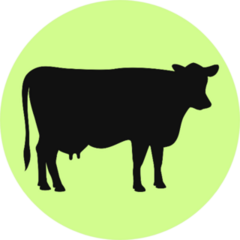 Cow Black Silhouette Illustration On Green Sticker