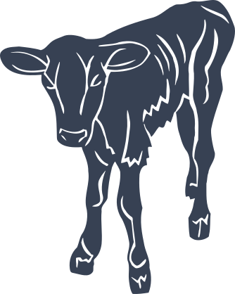 Cow Calf Sticker