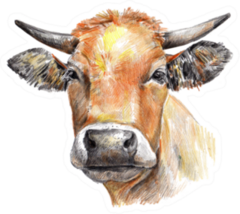Cow Hand Drawn In Brown Sticker