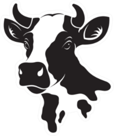 Cow Head Design Illustration Sticker