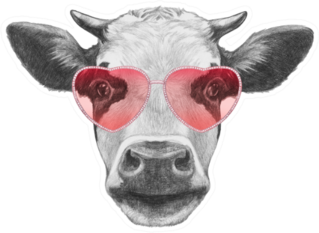Cow In Love! Portrait Of Cow Sticker