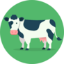 Cow Isolated On Green Background Sticker