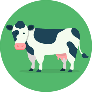 Cow Isolated On Green Background Sticker