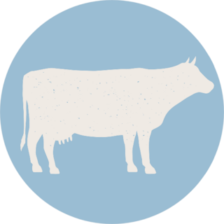 Cow Silhouette. Cow Icon Isolated On Blue Background Sticker