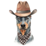 Cowboy Doberman Sticker