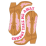 Cowgirl Boots Cowboy Take Me Away Sticker 