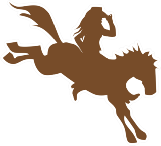 Cowgirl On Wild Horse Sticker