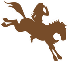 Cowgirl On Wild Horse Sticker
