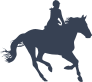 Cowgirl Riding A Horse Sticker