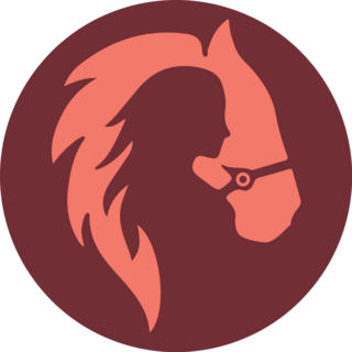 Cowgirl Silhouette Within A Horse Sticker