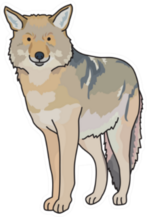 Coyote Cartoon Sticker