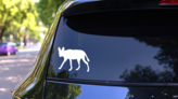 Coyote Wolf Dog Sticker on a Rear Car Window (New) example