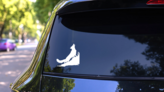 Coyote Wolf Howling In Grass Sticker on a Rear Car Window (New) example