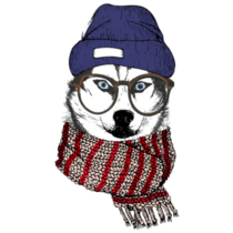 Cozy Winter Husky Sticker