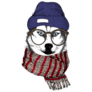 Cozy Winter Husky Sticker
