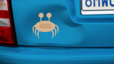 Crab Band Aid Bandage Sticker on a Dented Car example