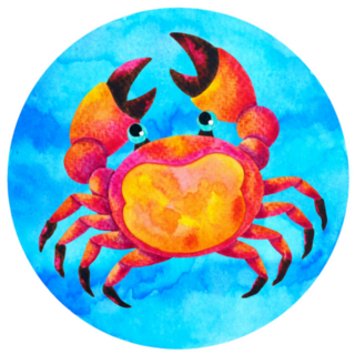 Crab Cancer Zodiac Astrology Watercolor Sticker 
