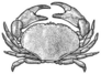 Crab Illustration In Sketch Style Sticker