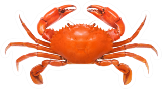 Crab Illustration Isolated On White Sticker