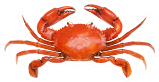 Crab Isolated Sticker