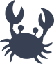 Crab With Big Eyes Sticker