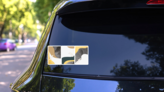 Crane Birds With Abstract Japanese Geometric Pattern Sticker on a Rear Car Window (New) example