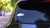 Crane Walking Sticker on a Rear Car Window (New) example