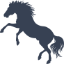 Crazy Brave Horse Sticker