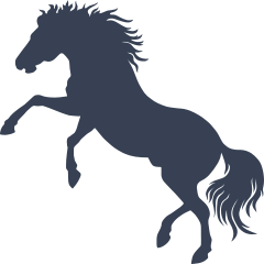 Crazy Brave Horse Sticker