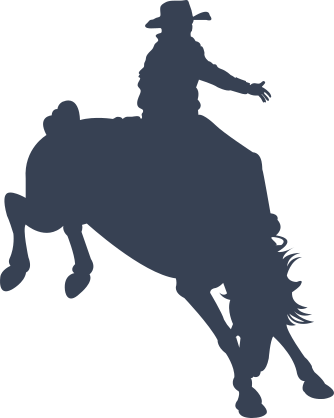 Crazy Cowboy Riding A Horse Sticker