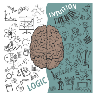Creative Brain Idea. Left And Right Brain Sketch Sticker
