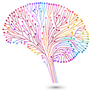 Creative Concept Of The Human Brain Colorful Sticker