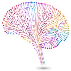 Creative Concept Of The Human Brain Colorful Sticker
