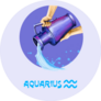 Creative Digital Illustration Aquarius Sticker