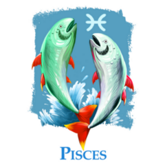 Creative Digital Illustration Pisces Symbol Sticker