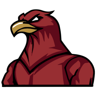 Creative Hawk Sticker