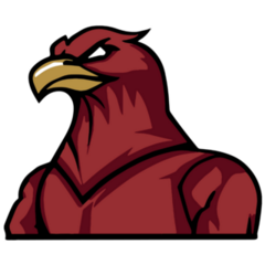 Creative Hawk Sticker