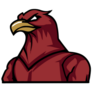 Creative Hawk Sticker