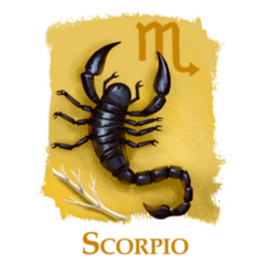 Creative Illustration Of Astrological Sign Scorpio Sticker