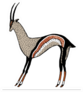 Creative Modern Animal Antelope Illustration Sticker