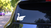Creative Swan Sticker on a Rear Car Window (New) example