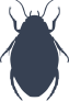 Creepy Beetle Sticker