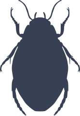 Creepy Beetle Sticker