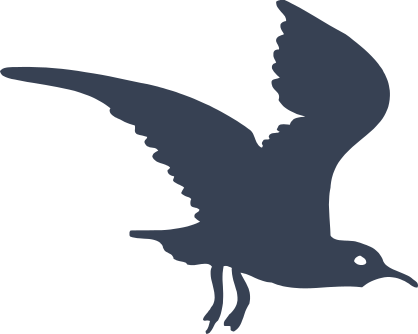 Creepy Flying Seagull Sticker