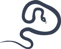 Creepy Slithering Snake Sticker